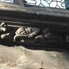 La frise : Saint-Merry