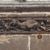 La frise : un animal imaginaire à la queue fourchue