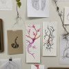 VAM, dessins